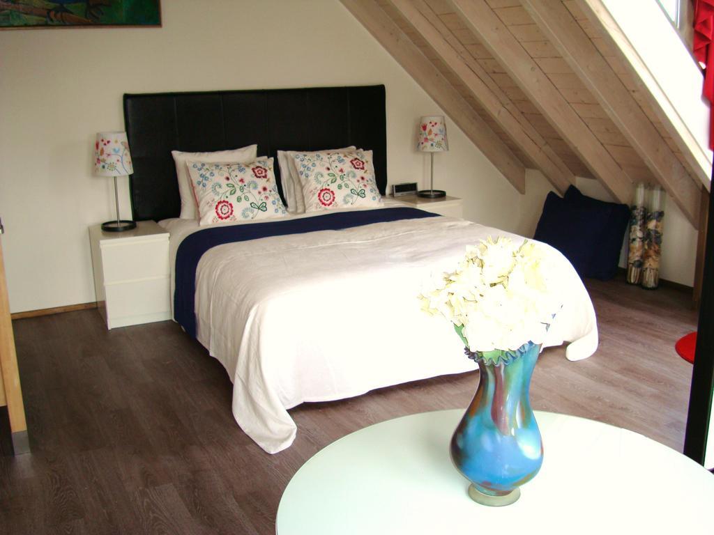 De Duintop Apartment ซานด์โวร์ต ห้อง รูปภาพ